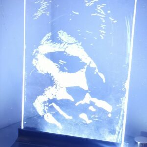 Veilleuse / Décoration "Rock 'n' Roll Idole" USB - 200mm*300mm