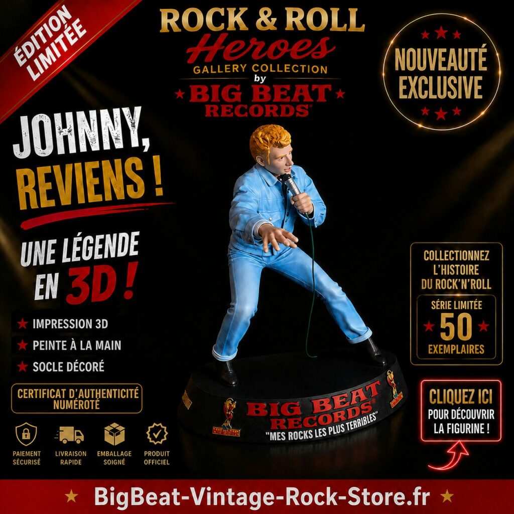 Figurine Johnny collection Rock & Roll Heros - Galery Collection